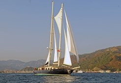 L ADIC 118 for charter in Split