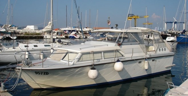 Coronet 31