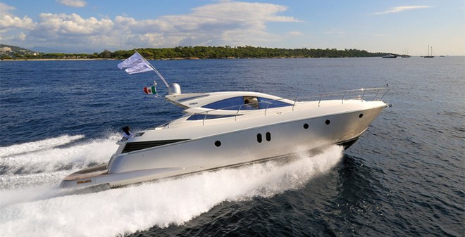 Salpa 50.5