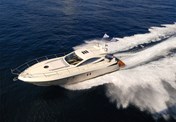 Salpa 50.5