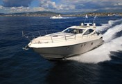 Salpa 50.5