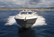 Salpa 50.5