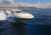 Salpa 50.5