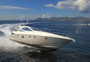 Salpa 50.5