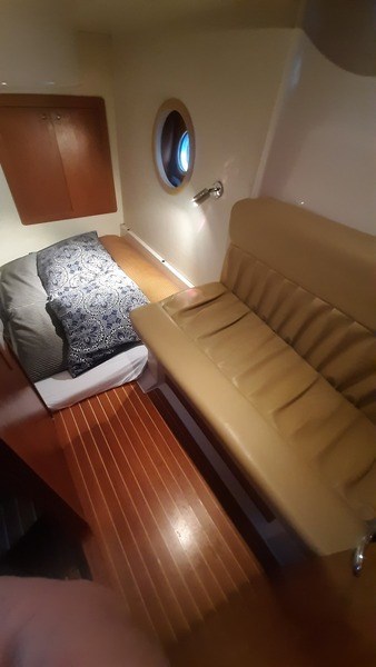 Sessa Dorado 32