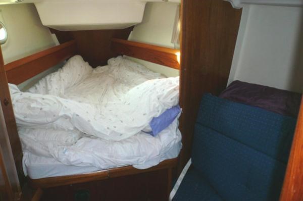 Jeanneau Sun Odyssey 43DS