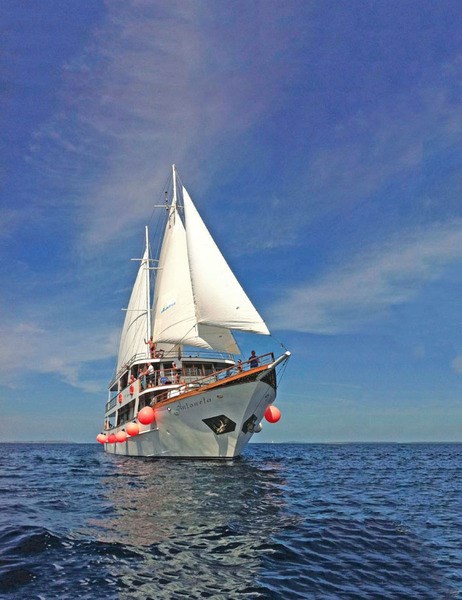 Motor-sailer Antonela