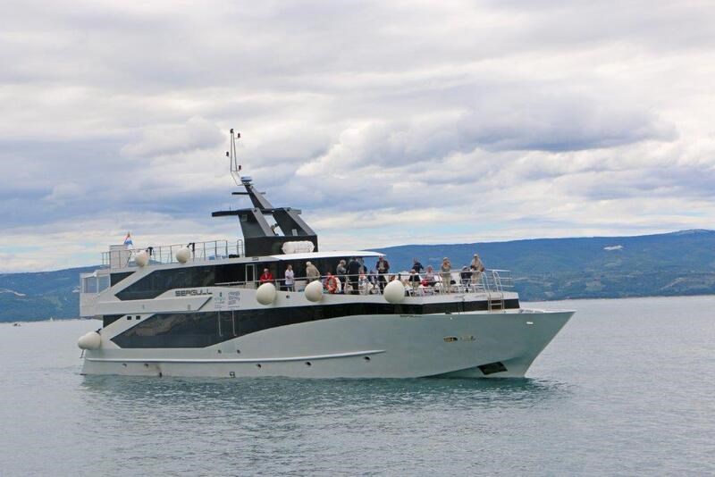 Motor-sailer Seagull