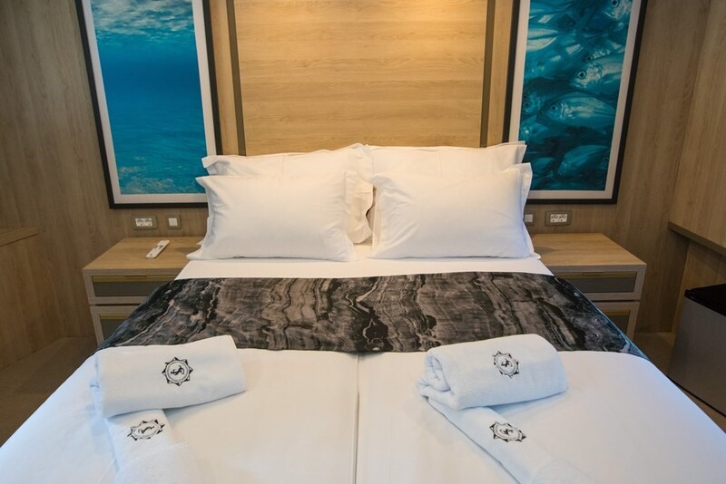 Mini cruiser Agape Rose