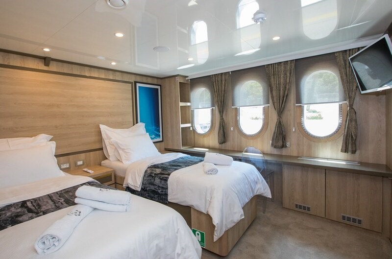 Mini cruiser Agape Rose