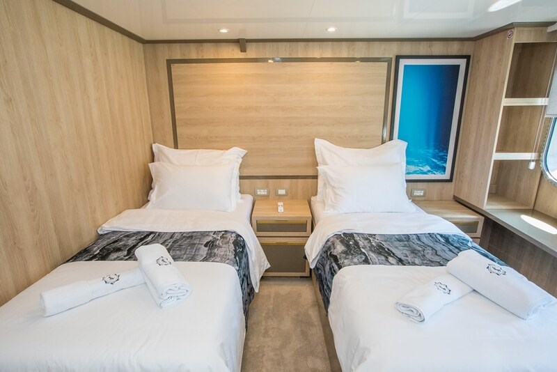 Mini cruiser Agape Rose