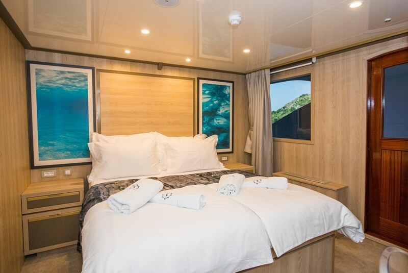 Mini cruiser Agape Rose