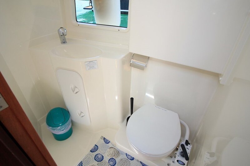 Delphia Platinum 989  Fly