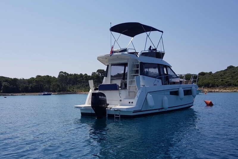 Delphia Platinum 989  Fly