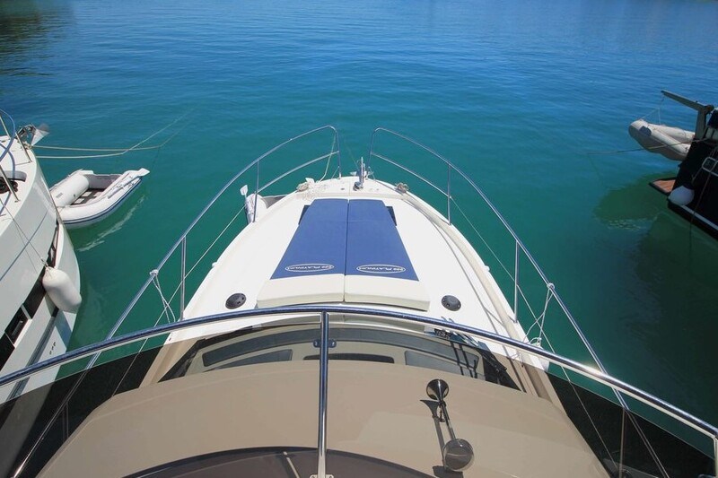 Delphia Platinum 989  Fly