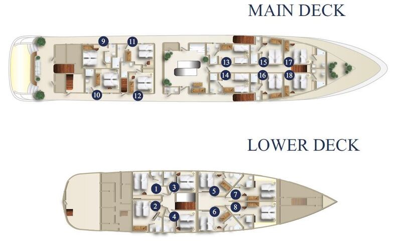Mini cruiser Swallow