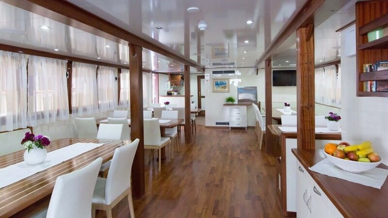 Mini cruiser Splendid