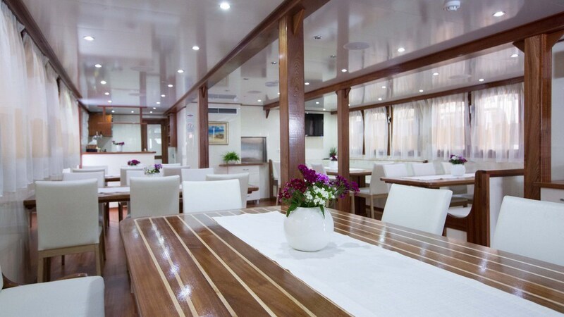 Mini cruiser Splendid