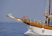 Motor-sailer Zelenbor