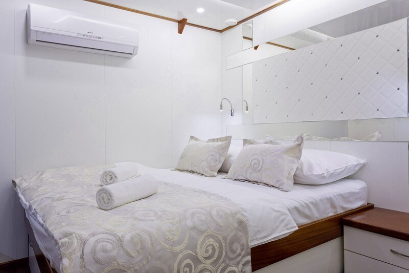 Mini cruiser Solaris