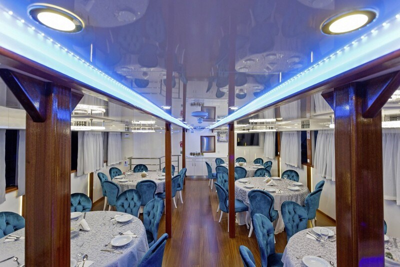 Mini cruiser Solaris