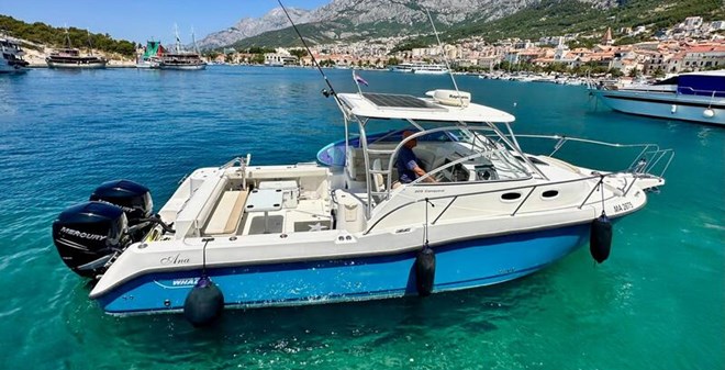 Boston Whaler 305 Conquest