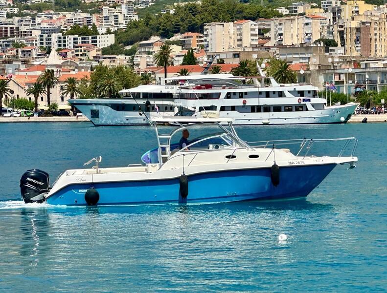 Boston Whaler 305 Conquest
