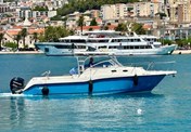 Boston Whaler 305 Conquest