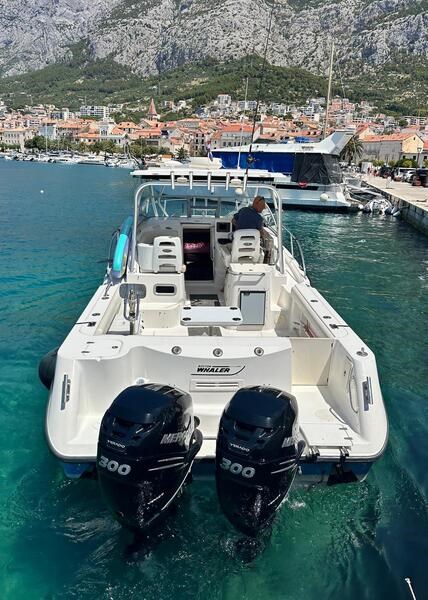 Boston Whaler 305 Conquest