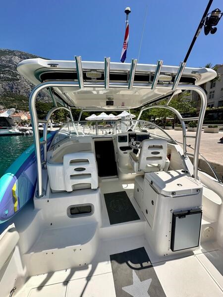 Boston Whaler 305 Conquest