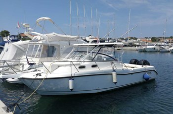 V Boston Whaler 305 (2006) Bateau a vendre 