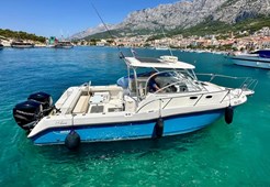 Boston Whaler 305 Conquest