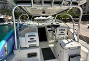 Boston Whaler 305 Conquest