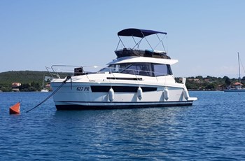 Delphia Platinum 989  Fly