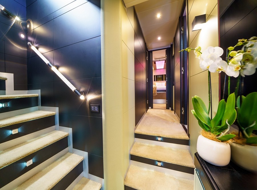 Dominator 780S - Dalia