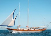 Gulet Sv.Donat