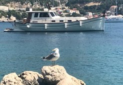 M Menorquin 160 Broker Opatija
