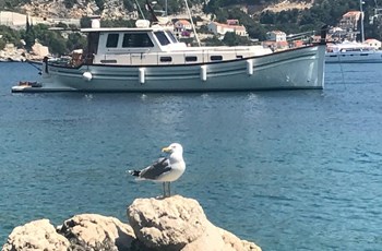 V Menorquin 160 Bateau a vendre Hrvatska