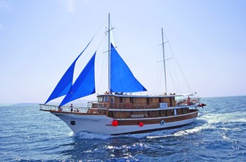 Motor-sailer Labrador