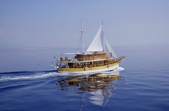 Motor-sailer Planka