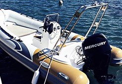 R Predator 490 for charter in Zadar