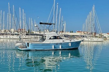 SAS - Vektor Adriana 44 Fly