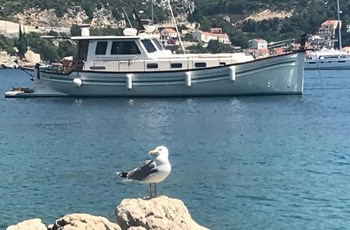 V Sasga Menorquin 160 Bateau a vendre 