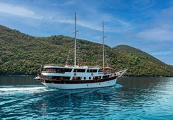 Motor-sailer Cesarica