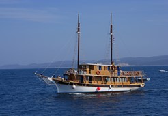 Motor-sailer Ika