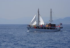 Motor-sailer Madona